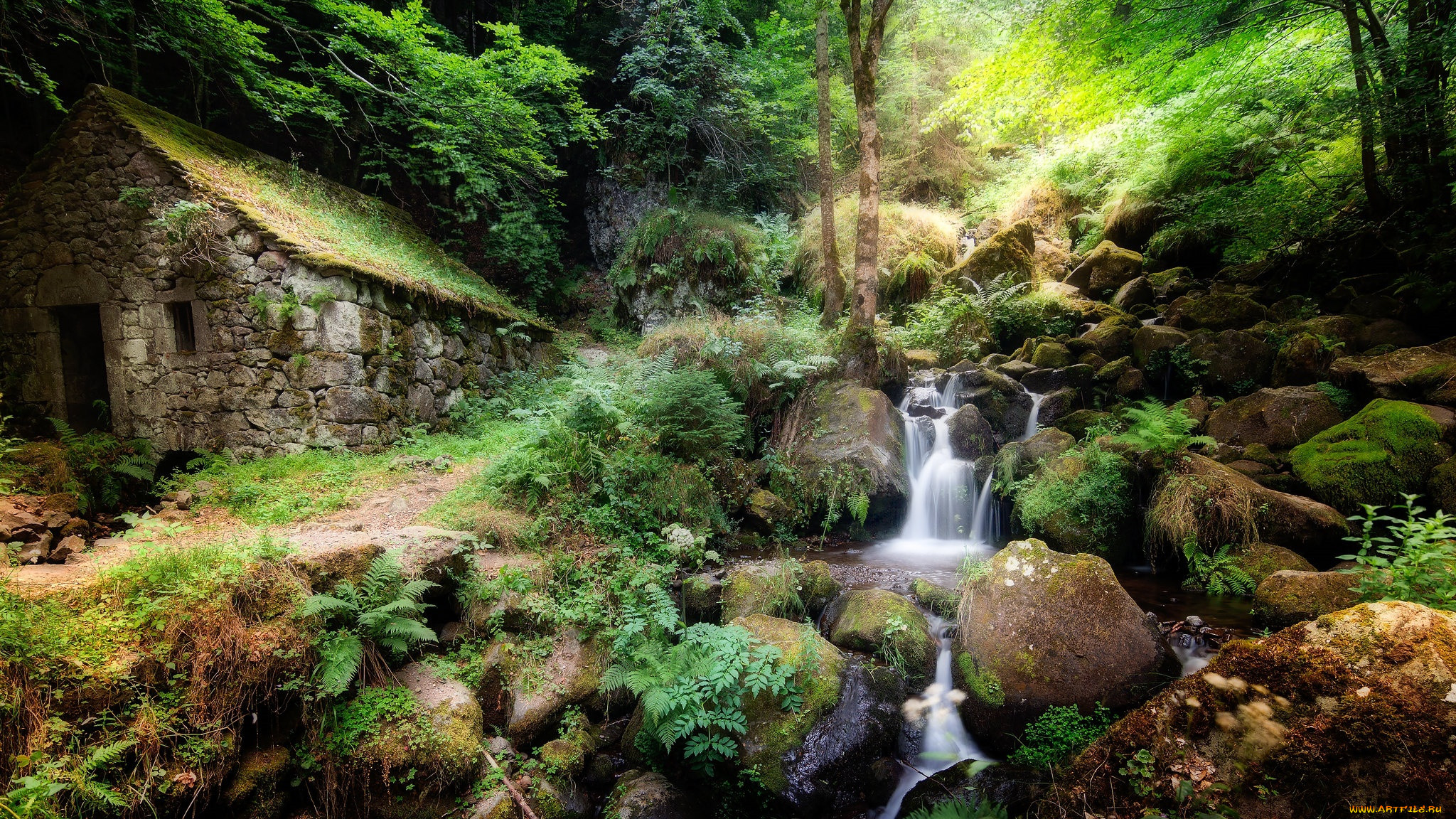 ������, ����������,  ���������, ���